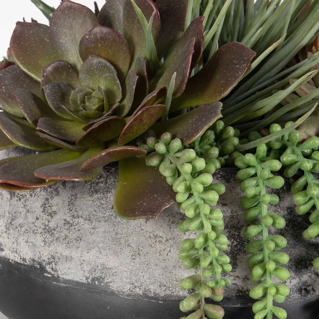 Yuma Succulent Centerpiece Accessories Uttermost