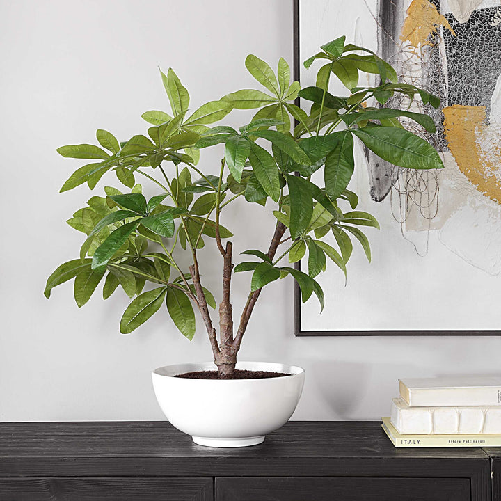 Pachira Money Tree Accessories Uttermost