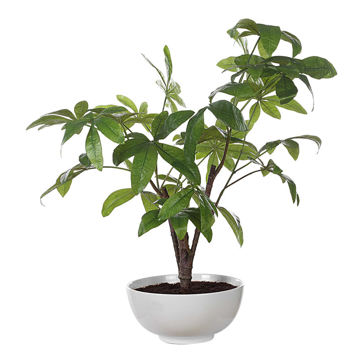 Pachira Money Tree Accessories Uttermost