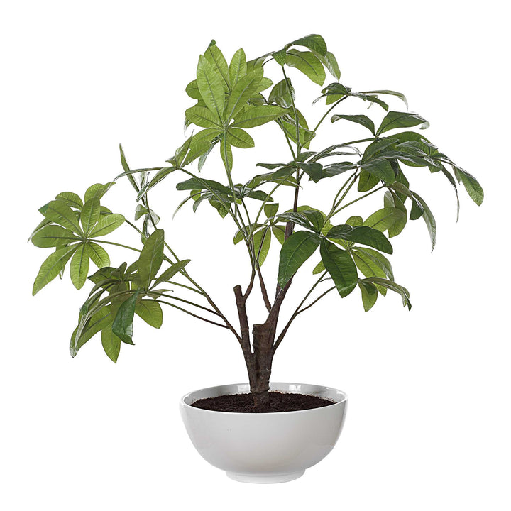 Pachira Money Tree Accessories Uttermost