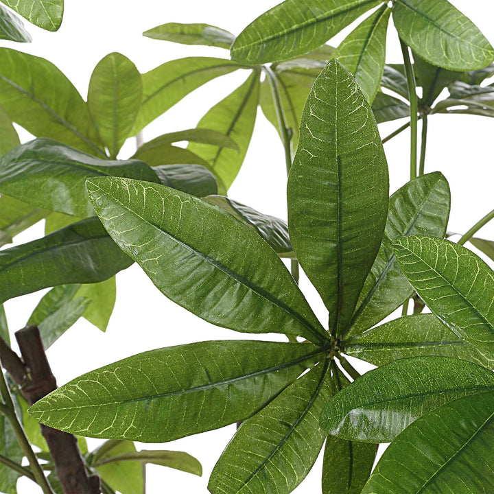 Pachira Money Tree Accessories Uttermost