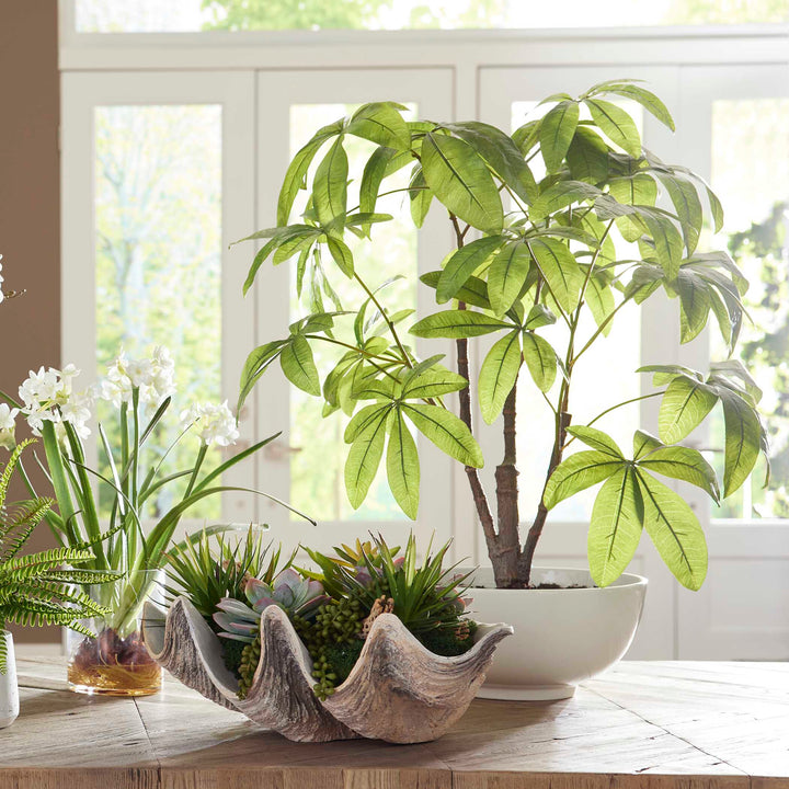 Pachira Money Tree Accessories Uttermost
