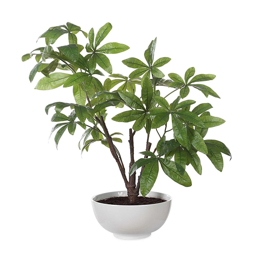 Pachira Money Tree Accessories Uttermost