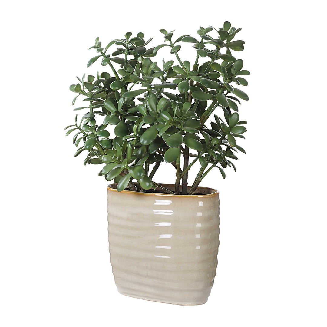 Crassula Jade Accent Plant Accessories Uttermost
