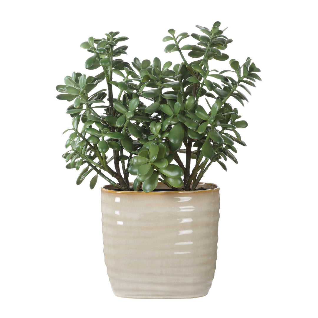 Crassula Jade Accent Plant Accessories Uttermost