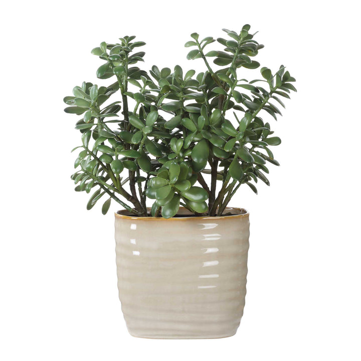 Crassula Jade Accent Plant Accessories Uttermost