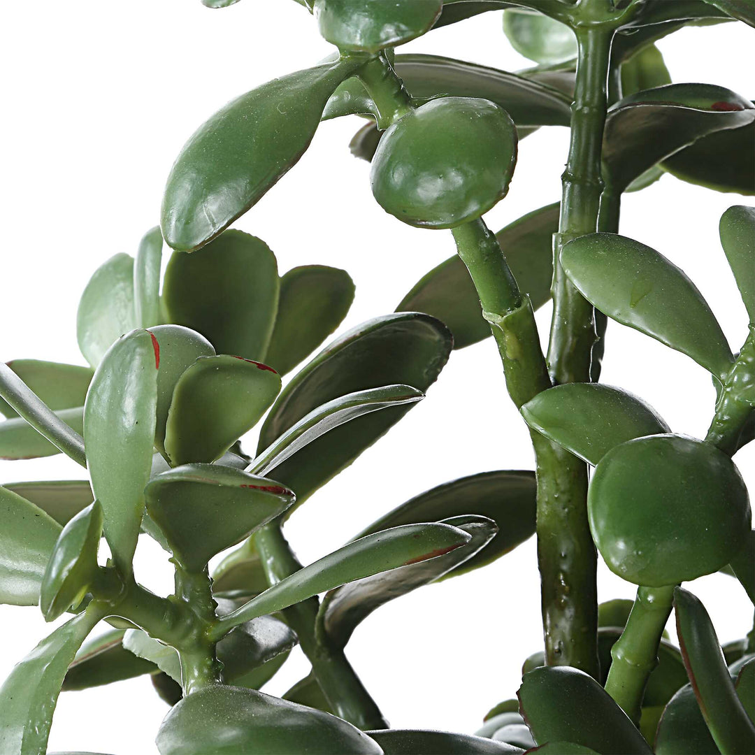 Crassula Jade Accent Plant Accessories Uttermost