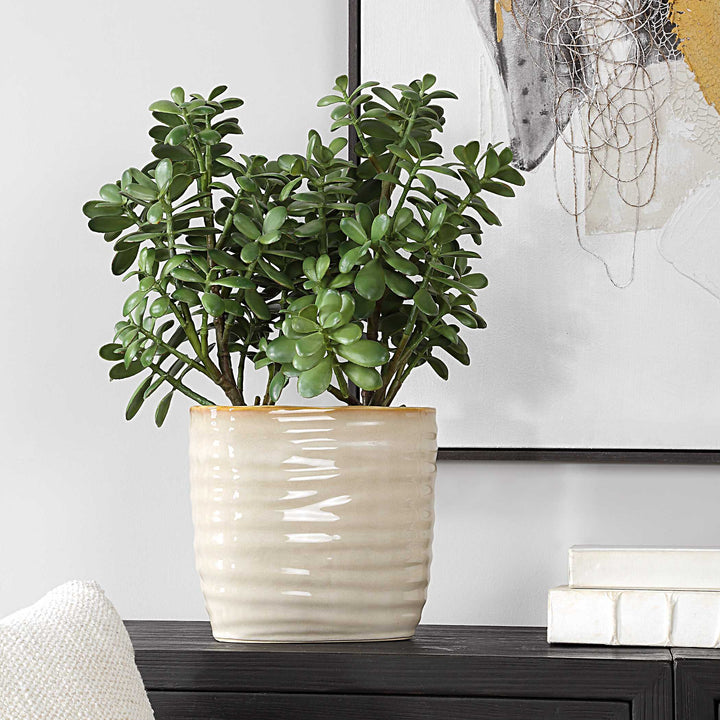 Crassula Jade Accent Plant Accessories Uttermost