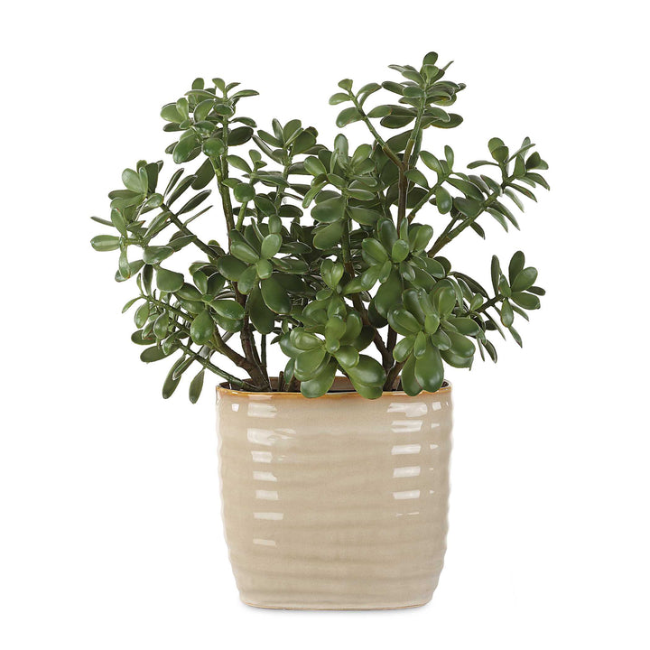 Crassula Jade Accent Plant Accessories Uttermost