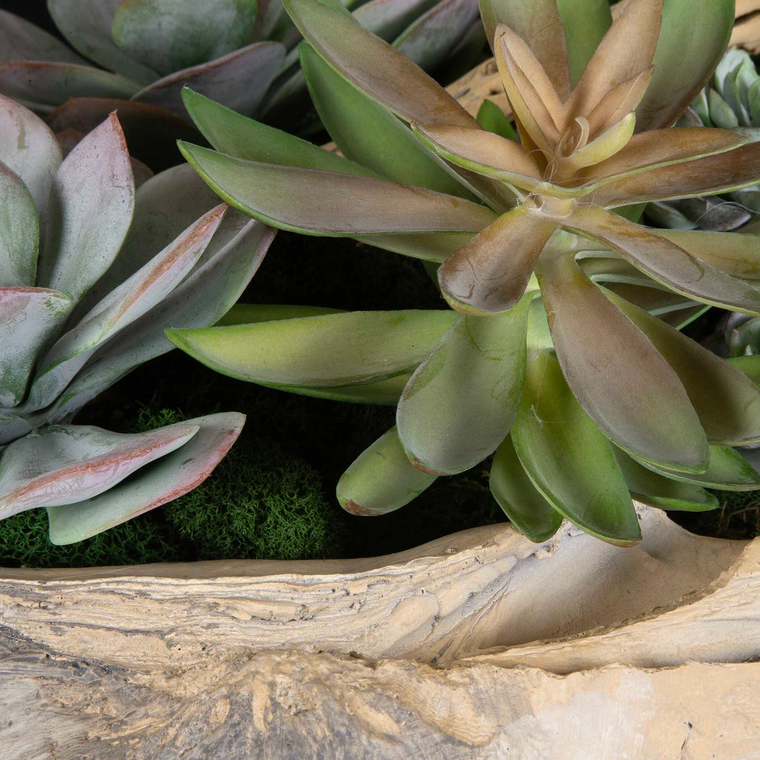 Seaside Breeze Succulents Accessories Uttermost
