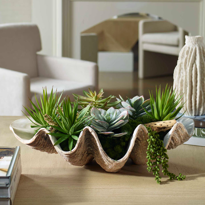 Seaside Breeze Succulents Accessories Uttermost