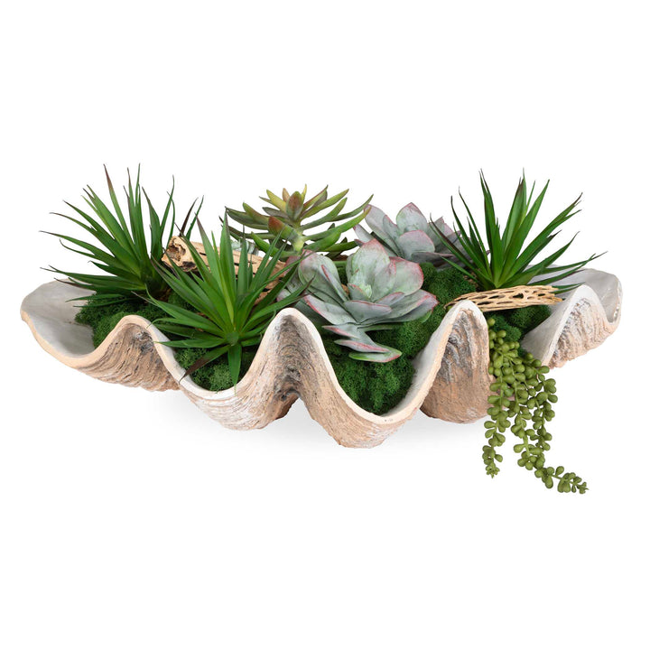 Seaside Breeze Succulents Accessories Uttermost