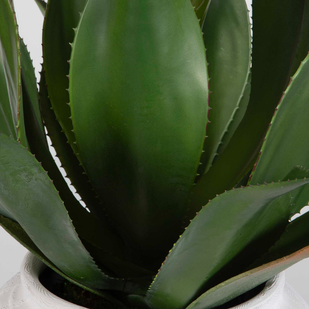 Tierra Agave Centerpiece With Vase Accessories Uttermost