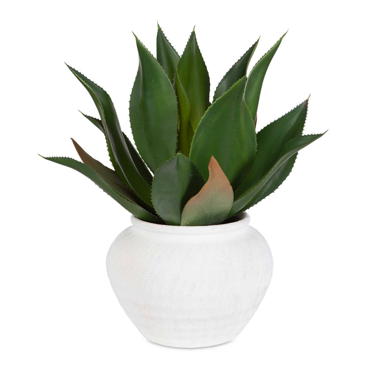 Tierra Agave Centerpiece With Vase Accessories Uttermost