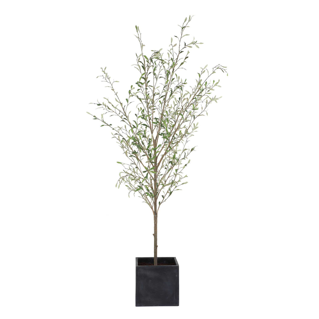 Abundance Potted Olive Tree Accessories Uttermost