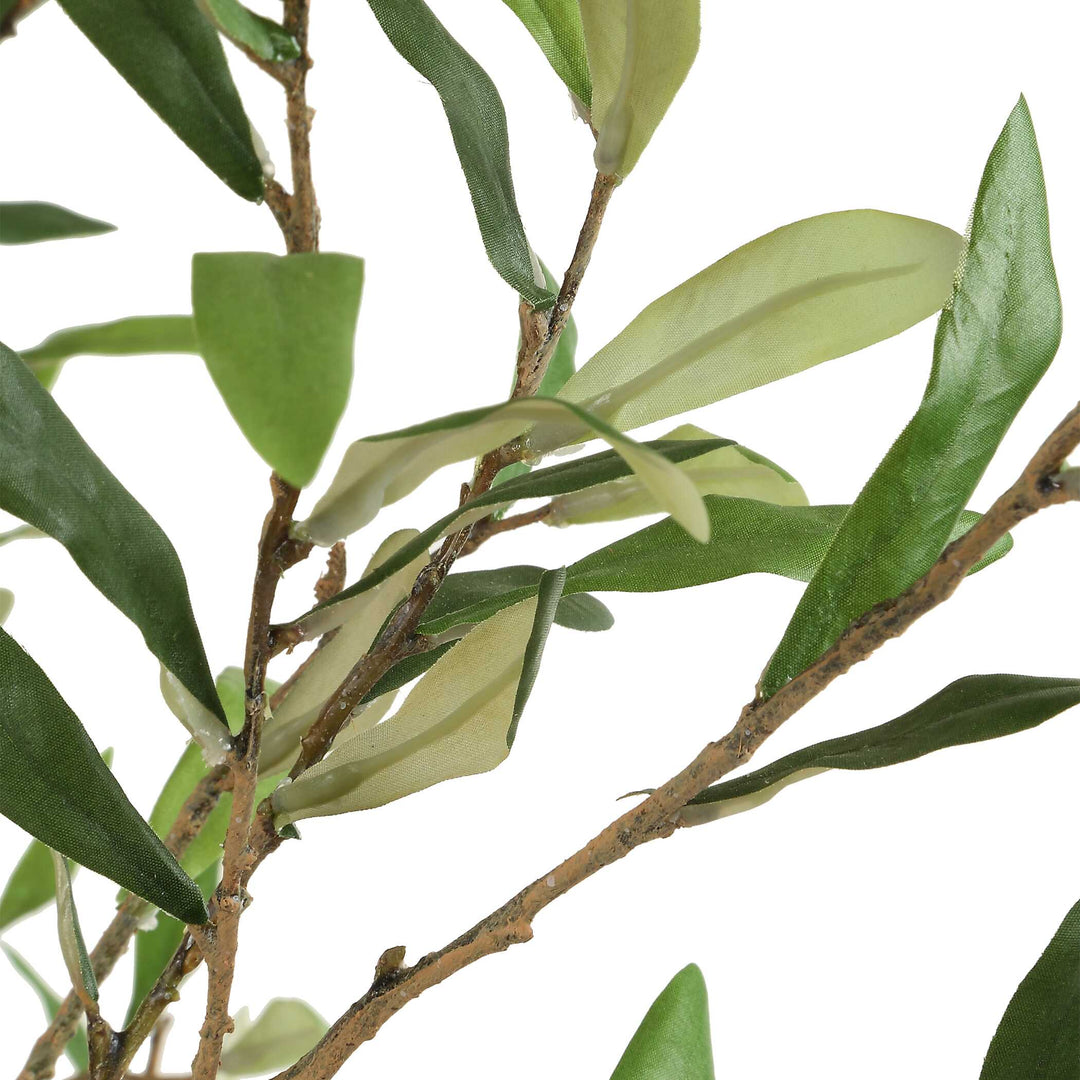 Abundance Potted Olive Tree Accessories Uttermost