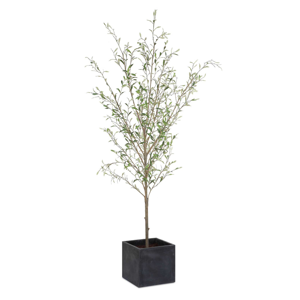 Abundance Potted Olive Tree Accessories Uttermost