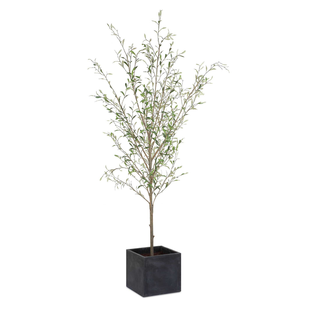 Abundance Potted Olive Tree Accessories Uttermost