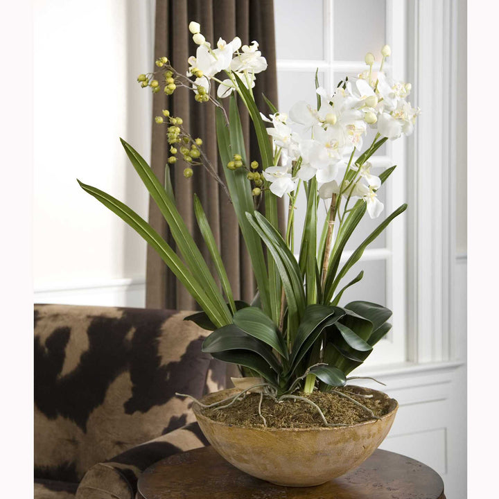 Moth Orchid Planter Accessories Uttermost