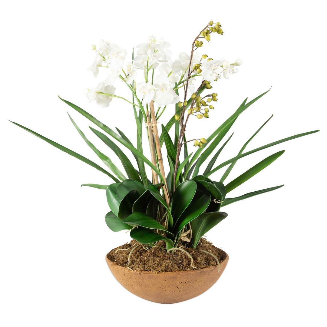 Moth Orchid Planter Accessories Uttermost