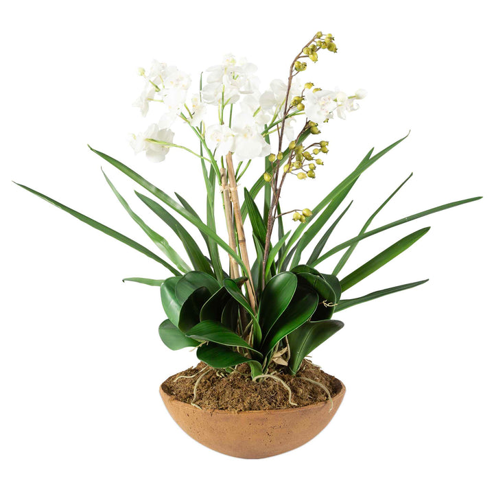 Moth Orchid Planter Accessories Uttermost