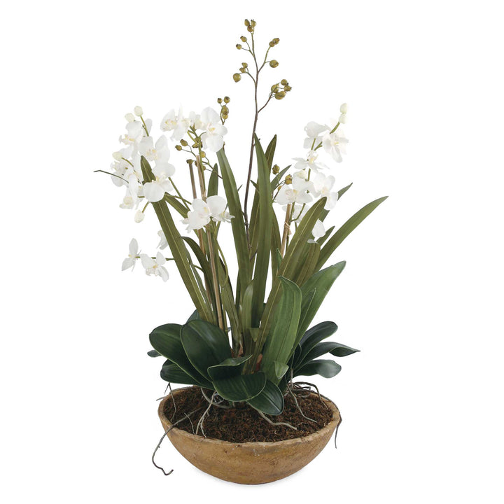 Moth Orchid Planter Accessories Uttermost