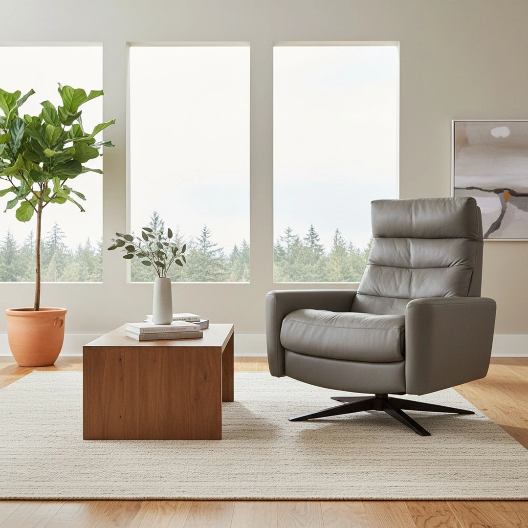 Cirrus Chair Large Living Room American Leather