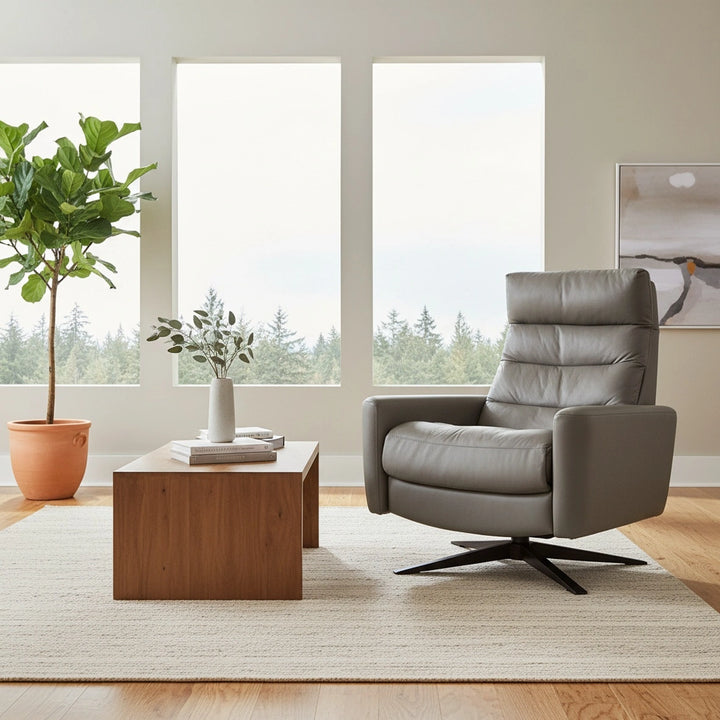 Cirrus Chair Large Living Room American Leather