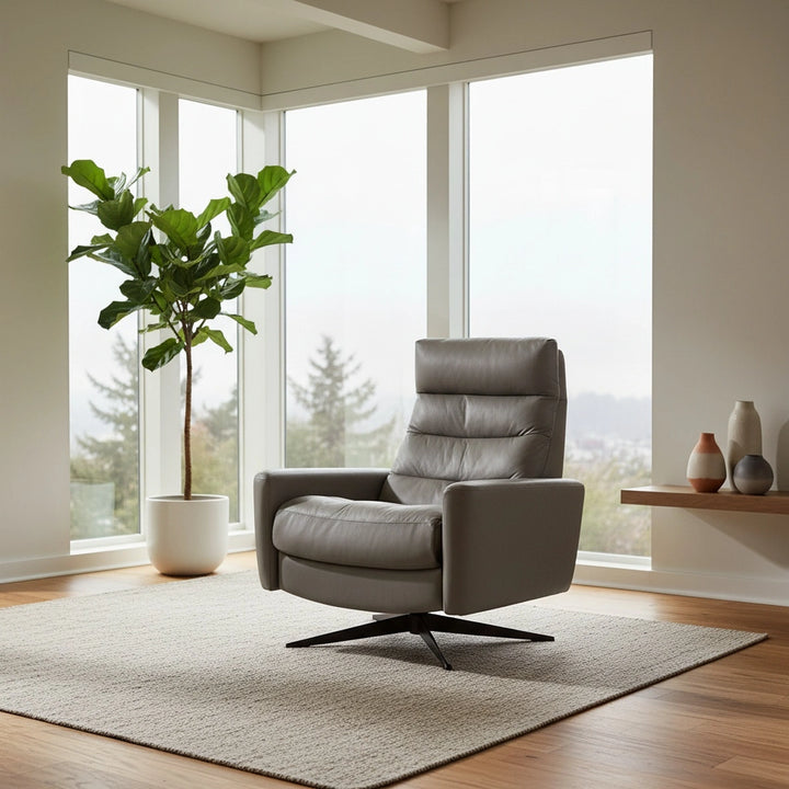 Cirrus Chair Large Living Room American Leather