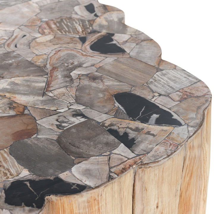 Norwest Petrified Wood Coffee Table Living Room Classic Home   