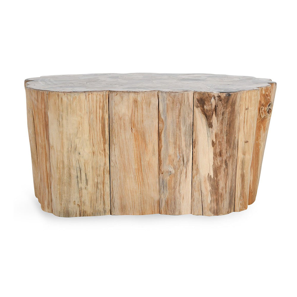 Norwest Petrified Wood Coffee Table Living Room Classic Home   