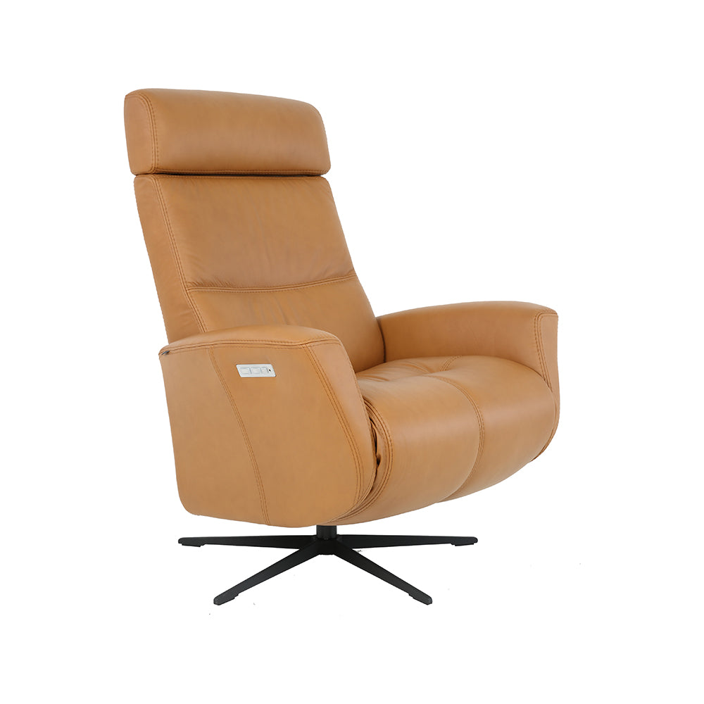 Magnus Recliner with Battery Living Room Fjords   