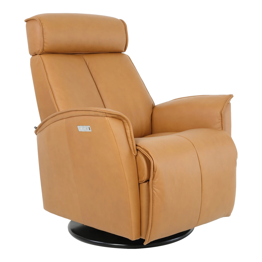 Venice Swing Relaxer Living Room Fjords Small Cigar Leather