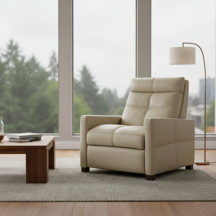 Rainier Recliner Living Room American Leather