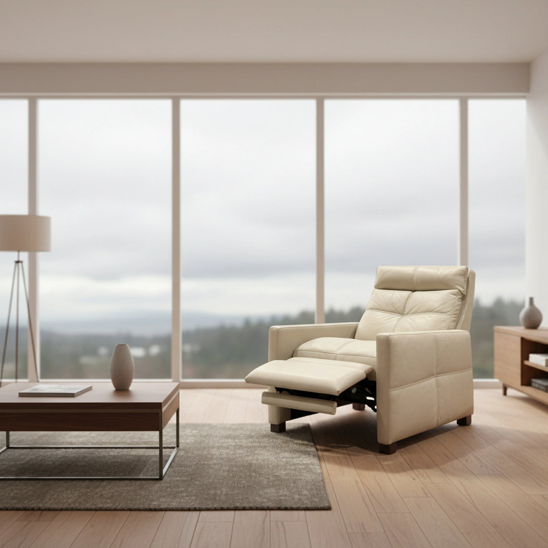 Rainier Recliner Living Room American Leather