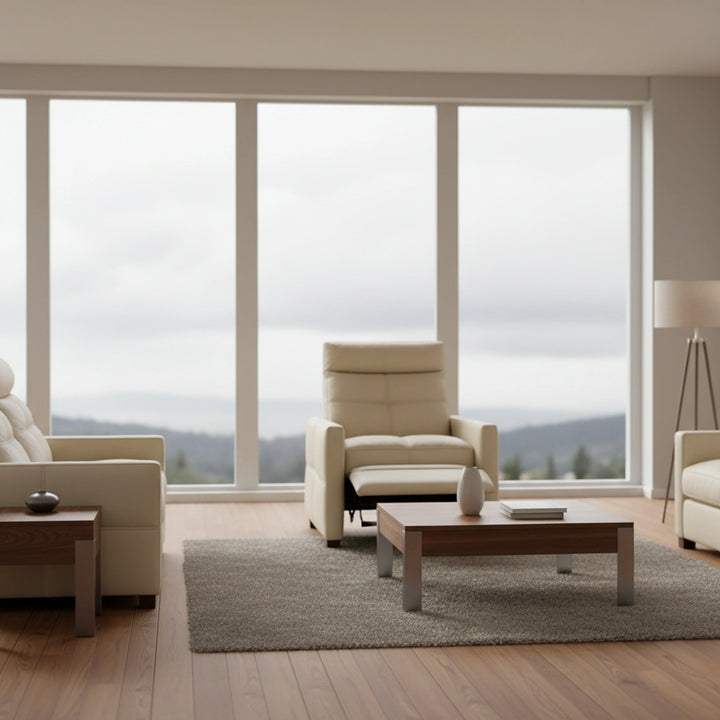 Rainier Recliner Living Room American Leather