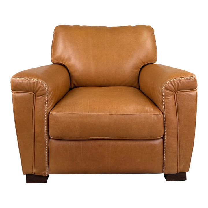 Stevens Leather Chair Living Room Softline