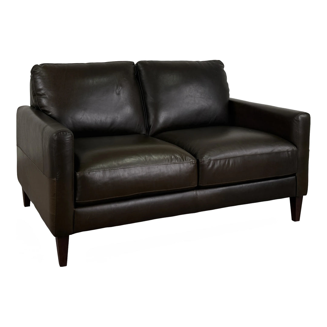 Tapps Leather Loveseat Living Room Softline Dallas Treillis