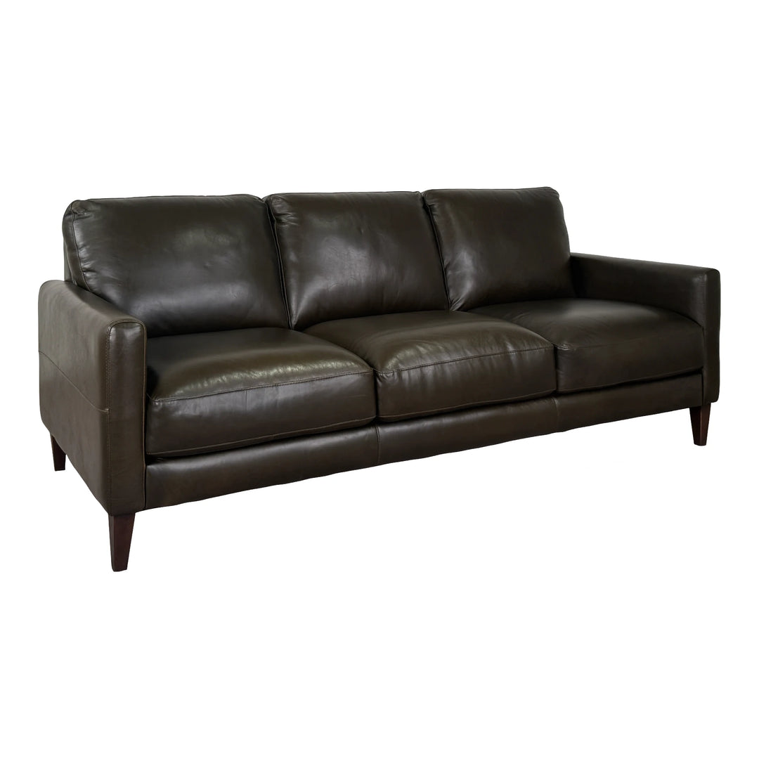 Tapps Leather Sofa Living Room Softline Dallas Treillis
