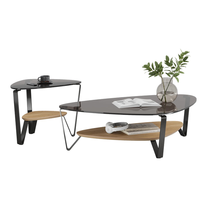 Dino 1363 Large Coffee Table Living Room BDI