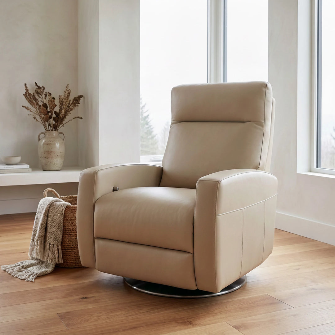 Eva Comfort Recliner clearance American Leather