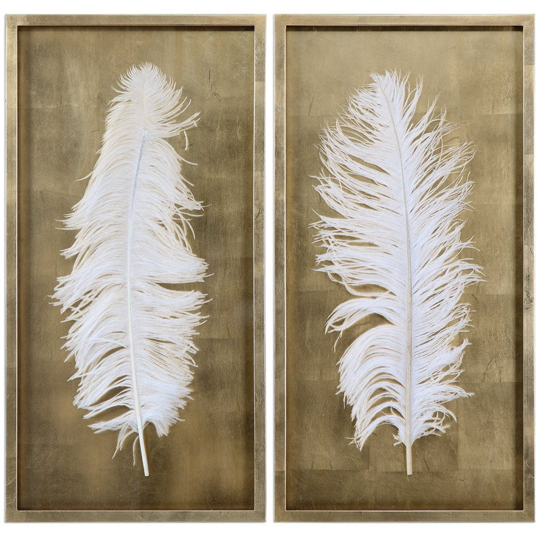 White Feathers Shadow Box, Set of 2 Accessories Uttermost   