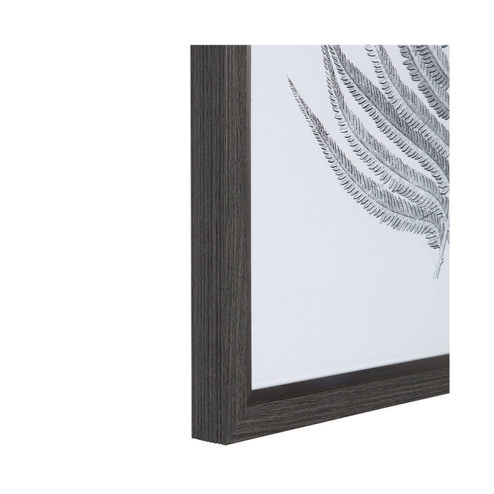 Silver Ferns Framed Prints, Set of 2 