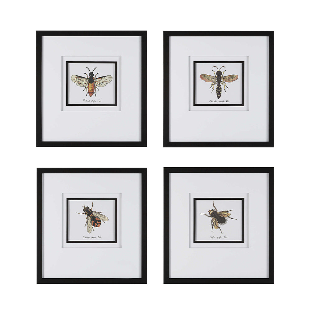 Anthophila Framed Prints, Set of 4 Accessories Uttermost   