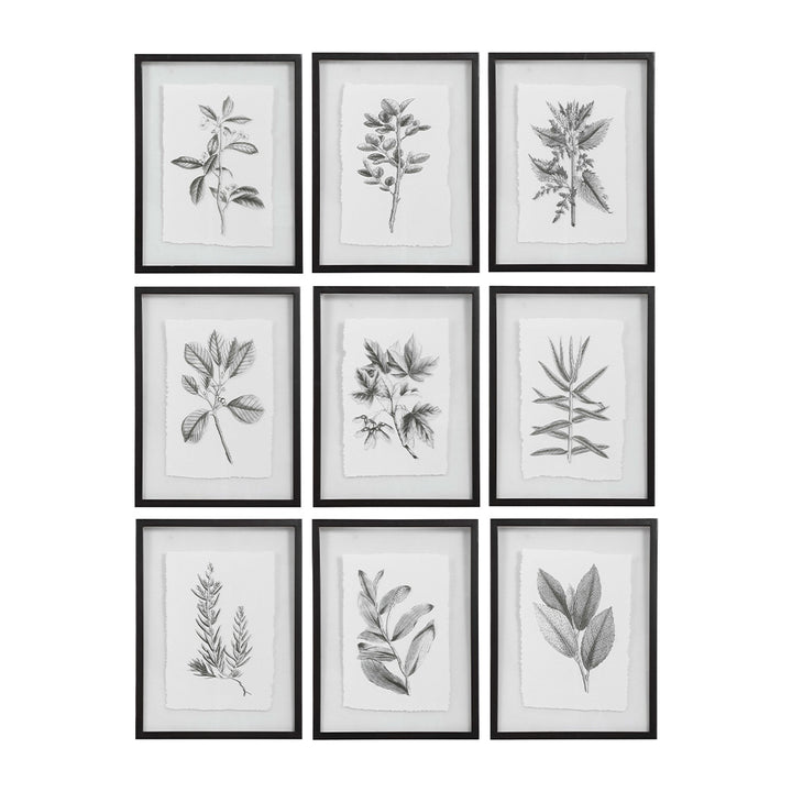 Farmhouse Florals Framed Prints, Set of 9 