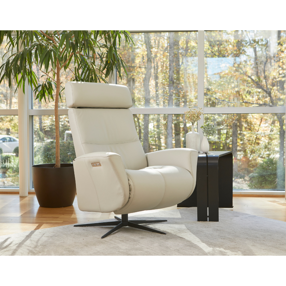 Magnus Power Recliner with Battery Living Room Fjords   