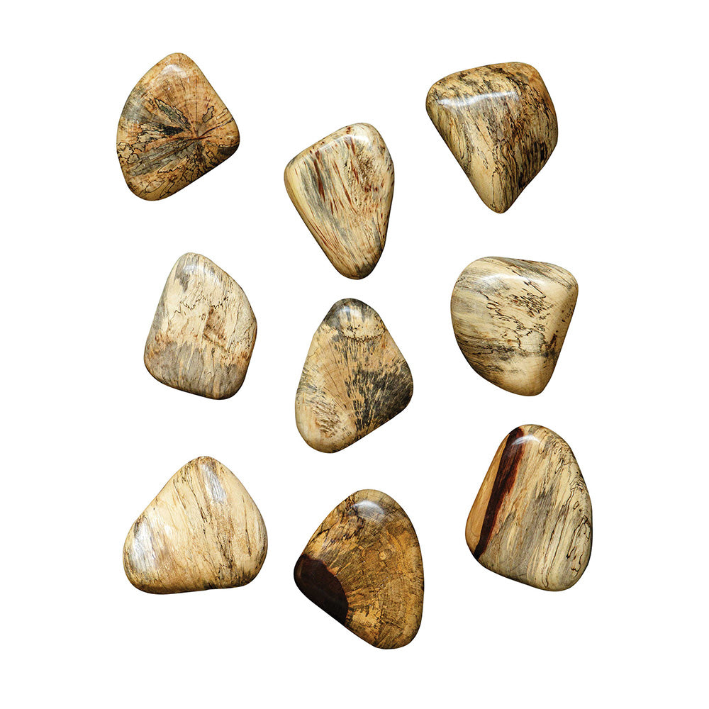 Pebbles Wood Wall Decor, Set of 9 Accessories Uttermost   