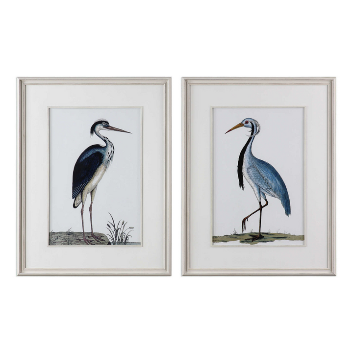 Shore Birds Framed Prints, Set of 2 Accessories Uttermost   