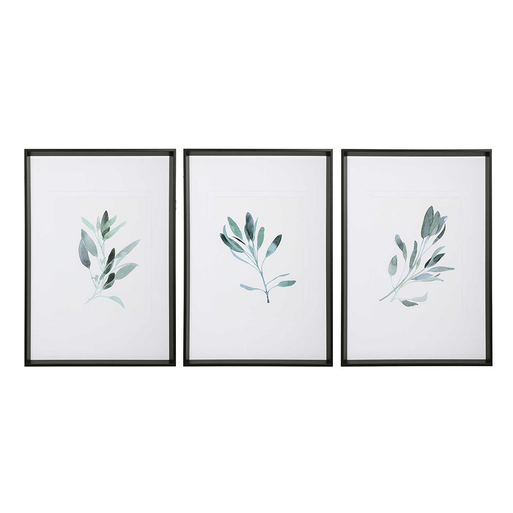 Simple Sage Framed Prints, Set of 3 